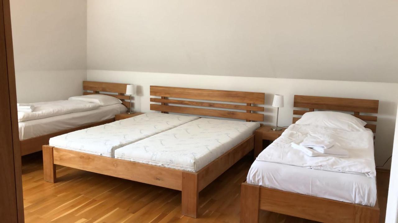 Obora 824 Villa Nová Bystřice Buitenkant foto